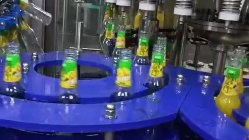 山东果蔬分拣清洗设备：高效与清洁的守护者