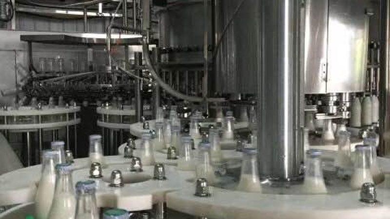 广东食品输送机选型指南：型号参数解析及应用场景